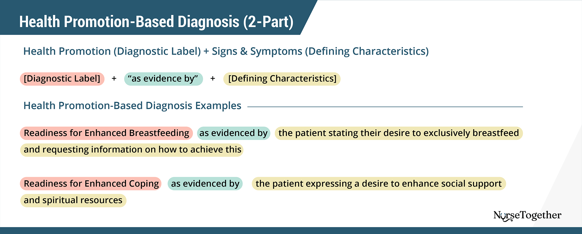2024 Nursing Diagnosis Guide: List, Types, Tutorial & Examples